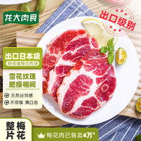 LONG DA 龙大 猪梅花肉块 500g