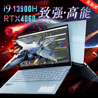 ASUS 华硕 2024新款酷睿i9-13900H标压8G独显RTX4060记本电脑 i9-13900H/RTX4060/指纹/英砂银 40G内存/1T固态硬盘