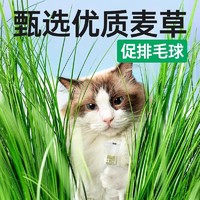 88VIP：yee 意牌 猫零食冻干鸡肉粒鸡胸肉500g桶装猫草营养罐头宠物狗磨牙猫粮增肥