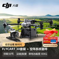 DJI 大疆 FlyCart30 无人机大型空吊货箱 运输载重30/40公斤