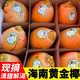 巧鲜惠 海南新品种黄金椰子 精选9个装