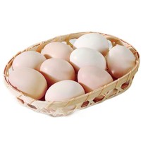 有券的上：故乡食召 初生鲜鸡蛋 30枚