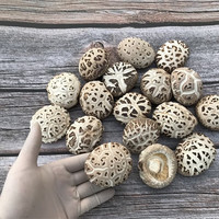 花菇哥 冬花菇500g-直径4~6cm香菇