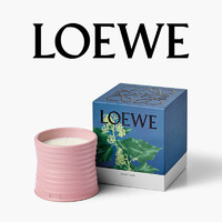 LOEWE 罗意威 家居香薰蜡烛 #常春藤 170g+赠香水体验装1.5ml