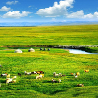 机票跳水，草长莺飞！是去大草原的好时候！内蒙古草原沙漠5天4晚半自助游