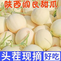 鼎鲜满 头茬陕西阎良小籽甜瓜 4.5-5斤