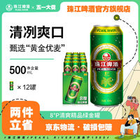 珠江啤酒 8度清爽绿金罐精品500ml*12罐整箱听装酒优质正品