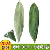 班恩 新鲜粽子叶100片干粽叶大号粽叶家用包粽子专送免邮端午批发商用