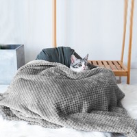 茨格曼 猫毯子被子冬天用保暖宠物狗狗毛毯子宠物窝垫睡垫猫咪狗被子 玉米绒纯色毛毯--灰色 *
