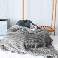 茨格曼 貓毯子被子冬天用保暖寵物狗狗毛毯子寵物窩墊睡墊貓咪狗被子 玉米絨純色毛毯--灰色 *