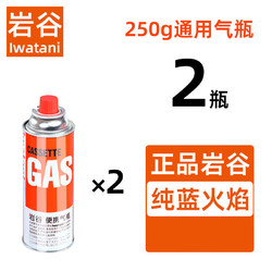 Iwatani 巖谷 卡式爐氣罐液化瓦斯氣丁烷燃氣罐便攜式露營煤氣瓶卡斯通用小氣罐 2瓶250g