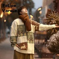 百亿补贴：FELIPE VARELA FE VA 美式时尚圣诞节毛衣男冬季百搭宽松格子小鹿针织衫厚款上衣