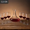 CLITON 红酒杯套装高脚杯分酒器10件酒具套装 家用葡萄酒杯玻璃醒酒器H款
