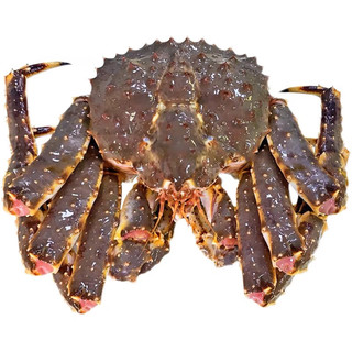 鲜活速冻阿拉斯加帝王蟹特大螃蟹生鲜海鲜 生冻帝王蟹 3-3.4斤（只）