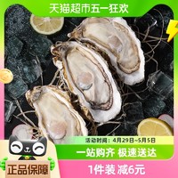 88VIP：BEISILING 贝司令 鲜活乳山生蚝XL新鲜牡蛎净重4斤16-22只海鲜水产海蛎子