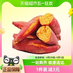 魯香德 西瓜紅蜜薯5斤中果新鮮番薯山芋地瓜紅薯紅心地瓜糖心烤番薯蔬菜