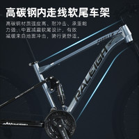 RALEIGH 兰令 软尾山地车自行车成碟刹变速开拓者  24速 线碟 顺丰 24寸