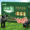 JL 金锣 肉粒多 黑猪肉香肠 320g