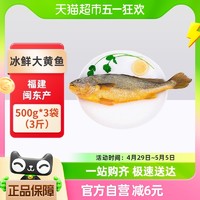 88VIP：渔传播 福建闽东冰鲜大黄鱼深海鱼500g*3袋（3斤）海鲜