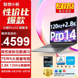 联想（Lenovo）小新Pro14 2023款超能轻薄本14英寸2.8K屏英特尔酷睿i5/i7笔记 i5-13500H 16G 1T 灰 标配