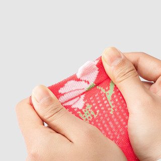 英氏儿童袜子夏季婴幼儿透气防臭薄袜两双装2024 深海珊瑚【2双装】 9.5cm