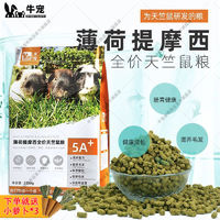 牛宠 薄荷提摩西草荷兰猪粮5LB天竺鼠主粮荷兰猪饲料豚鼠粮食