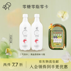 HEYTEA 喜茶 无糖气泡水 海盐荔枝味 500ml*15瓶