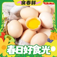 春焕新：筱诺 新鲜农村土鸡蛋 10枚 