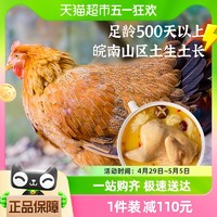 88VIP：雀淘 整鸡黄油老母鸡1.05kg*3只皖南山区慢养500天散养土鸡走地鸡