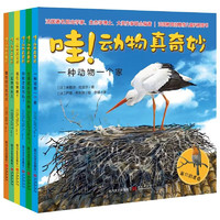 大自然科普系列：动物真奇妙 共6册