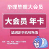 bilibili 哔哩哔哩 bilibli会员12个月 哔哩哔哩大会员年卡