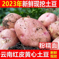 新嘟润云南红皮土豆 优选果3斤（单果100克起）