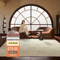 尚策 轻奢高端立体浮雕沙发地毯防水免洗易打理客厅主卧地毯 166*233CM