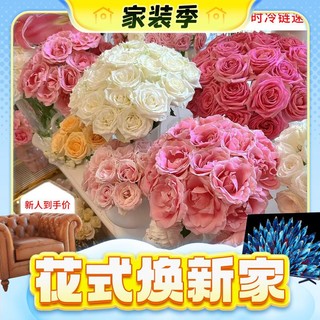 春焕新、家装季、PLUS会员：京东鲜花 随机颜色鲜花玫瑰20枝/束