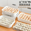 SP SAUCE 日本双层速冻饺子盒家用鸡蛋保鲜盒冰箱密封保鲜收纳盒可冷藏冷冻不粘底馄饨盒 双层饺子盒