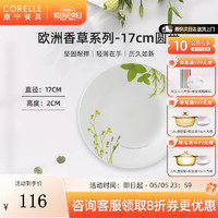 CORELLE 康宁餐具 进口欧洲香草玻璃餐具套装饭碗面碗骨碟深盘 17cm浅盘