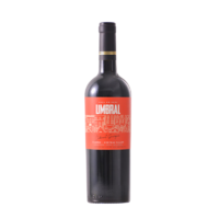 BORGONO 博戈里奥 智利进口红酒中央山谷产区 悠美堡赤霞珠 干红葡萄酒 单支750mL