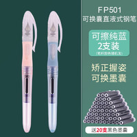 Snowhite 白雪 FP501/FP503可换囊直液式正姿钢笔儿童小三年级EF尖正姿练字可擦钢笔速干用钢笔 501两支（自带蓝色墨囊）+20个（黑色）钢笔墨囊