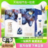 88VIP：JUST YOGHURT 纯甄 蒙牛纯甄甄酸奶寒地蓝莓味230g×10瓶/箱