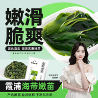 不吃小鱼 霞浦盐渍海带苗500g*5包 新鲜嫩苗火锅凉拌菜煮汤 源头直发包邮