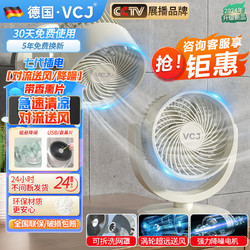 VCJ 电风扇空气循环扇家用大风量轻音低噪整屋循环小风扇 六倍风力丨-延长线