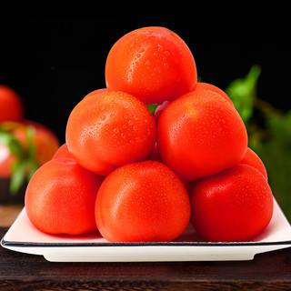 红又红番茄 现摘西红柿  2.5kg装