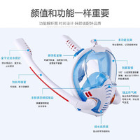 赫瓦达 潜水面罩 浮潜面罩全干式潜水镜成人儿童水下呼吸器管专业冲浪 双管白色蓝胶