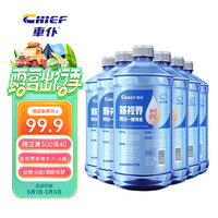 CHIEF 车仆 車仆新视界玻璃水2L*6瓶装除油膜汽车雨刮水强力去油膜四季通用除虫胶