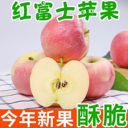 御品一園 陜西紅富士蘋果彩箱禮盒水果新鮮冰糖心丑蘋果當季脆甜凈重4.7斤