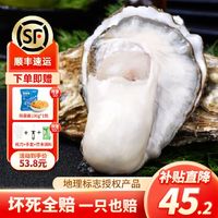 XIANHAIDAO 鲜海道 生蚝  乳山牡蛎 新鲜海蛎子生鲜贝类 特大号4XL5斤送酱（10-14只））