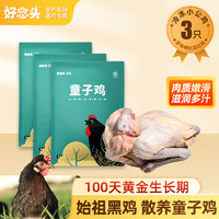 好念头 散养童子鸡五谷喂养鲜香滑嫩黄油现整只装新鲜散养土鸡走地鸡 3只童子鸡