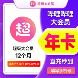 哔哩哔哩大会员一年 bilibili B站一年大会员1年 12个月 一次到账1年（支持电视）