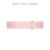 Daniel Wellington DanielWellington）DW原装表带10mm粉色编织带女款DW00200289（适用20*26mm方表）