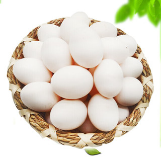 蔬香客 鸽子蛋60枚  新鲜杂粮谷物喂养 宝宝营养食物精选